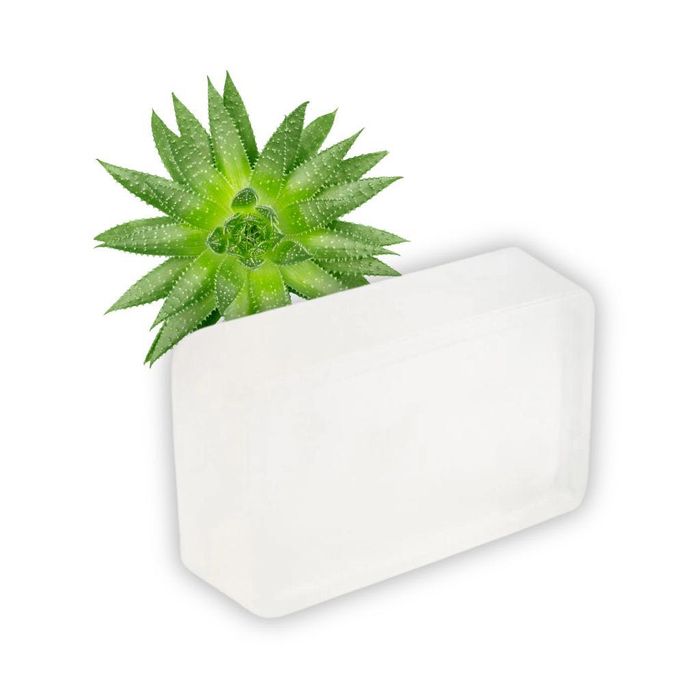 Baza mydlana ALOES bezbarwna bez SLS  1kg
