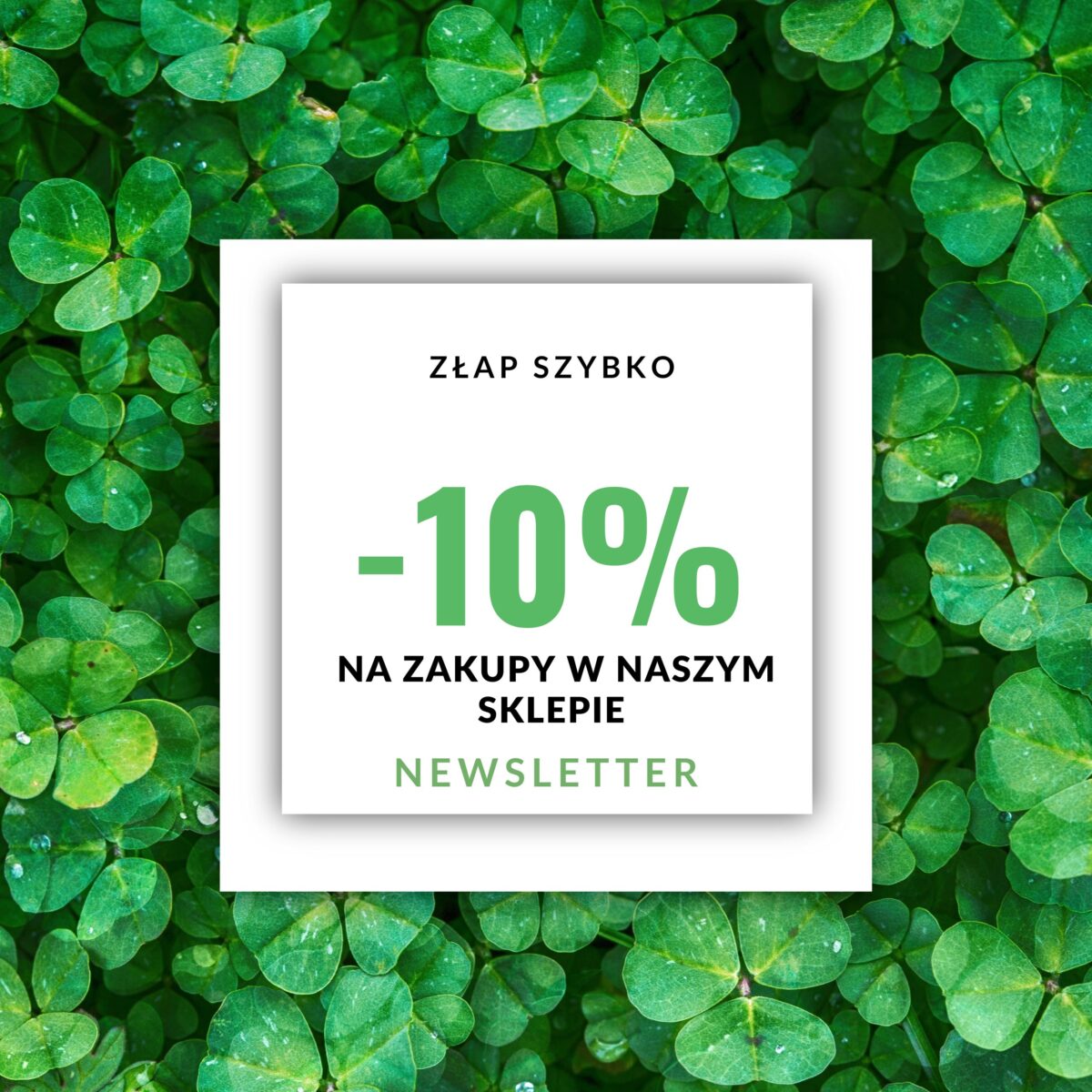 newsletter naszego sklepu. Ulotka w kolorze zielonym z napisem -10%