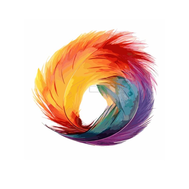 Pióra gęsie kolorowe różne rodzaje i różne kolory.