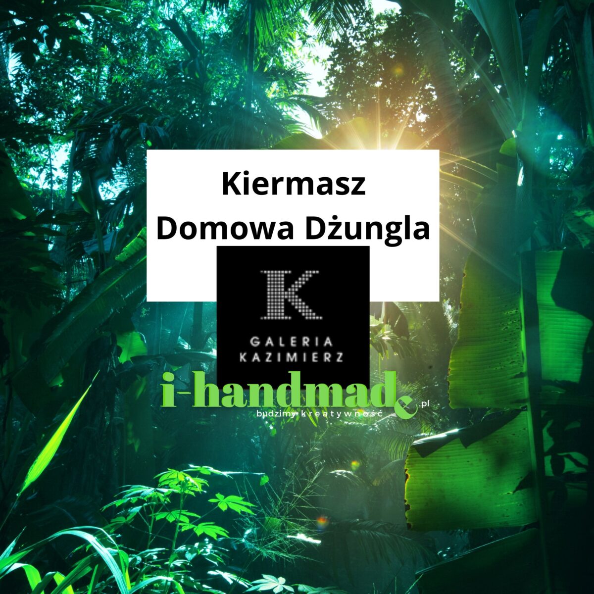 Kiermasz w galerii Kazimierz Domowa `dżungla
