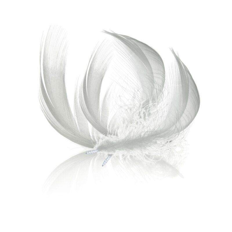 Pióra gęsie białe idealne do dekoracji wielkanocnej.