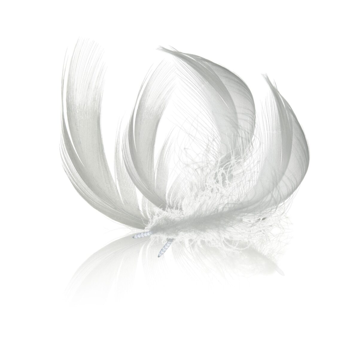 Pióra gęsie białe idealne do dekoracji wielkanocnej.