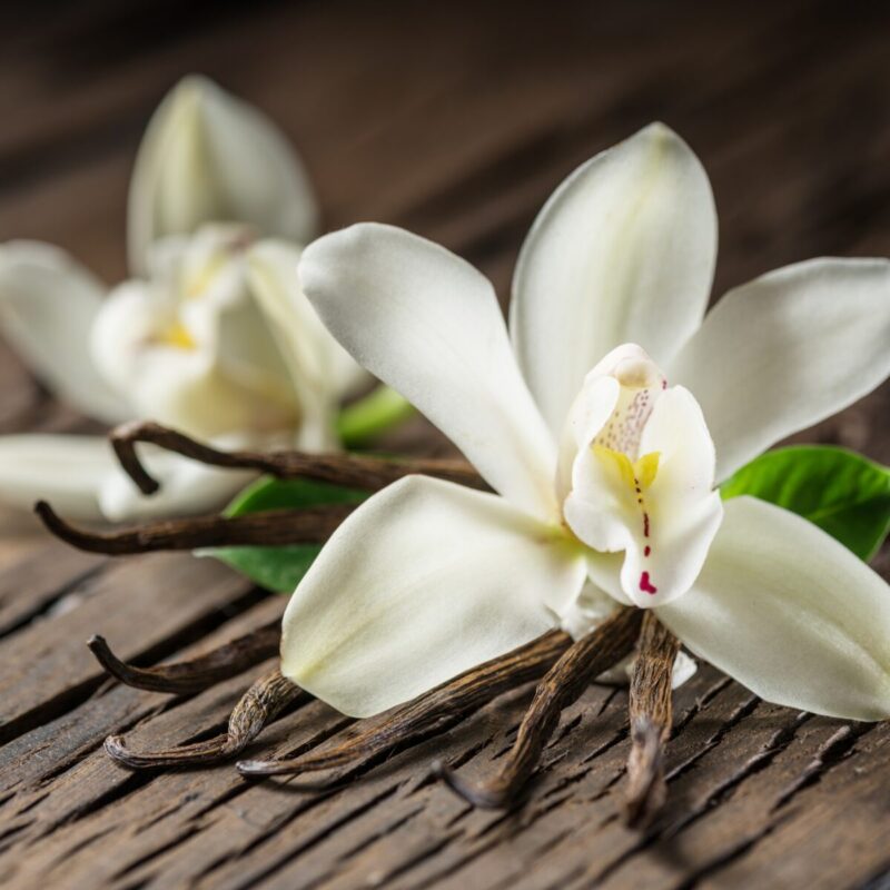 Olejek zapachowy do wosków zapachowych