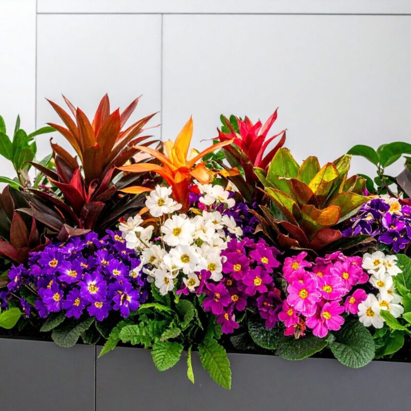 olejek zapachowy kwiecisty - flowerboomb